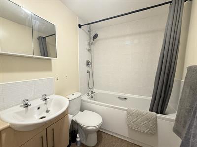 Picture 11